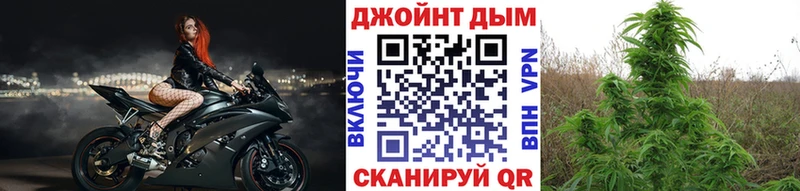 Купить  Артёмовск  Бошки Шишки THC 21% 